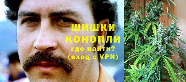 спайс Алзамай