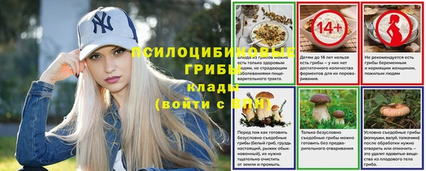 спайс Алзамай