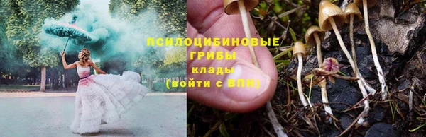 кокаин премиум Алексеевка